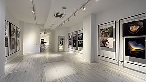Galleria Rossini visuale