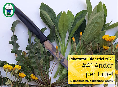 Laboratori Didattici 2023 #41 Andar per erbe!