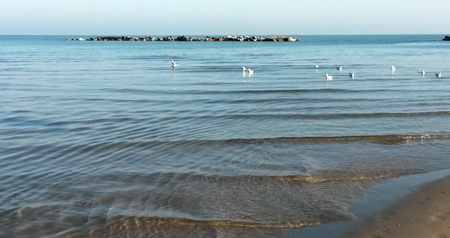 Foto spiaggia Pesaro