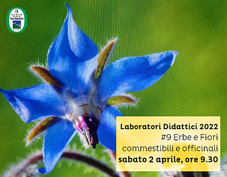 Laboratori Didattici 2022 #9 Erbe e Fiori commestibili e officinali