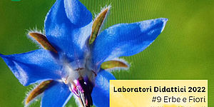 Laboratori Didattici 2022 #9 Erbe e Fiori commestibili e officinali