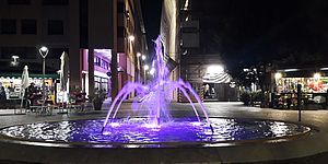 La fontana di piazzale Matteotti illuminata di viola per la Giornata internazionale contro l'Epilessia
