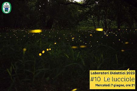 Laboratori Didattici 2023 #10 Le lucciole
